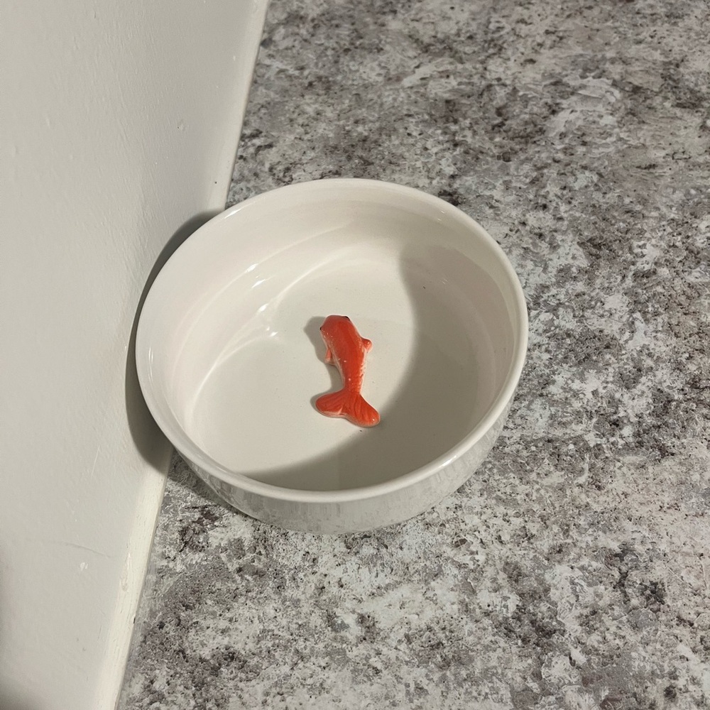 Goldfish Pet Bowl